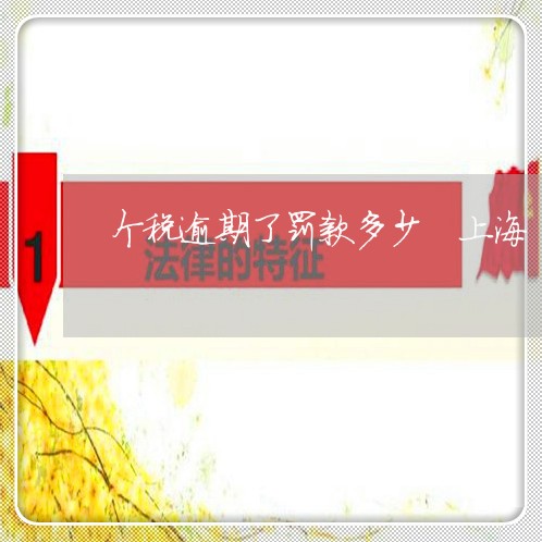 个税逾期了罚款多少 上海